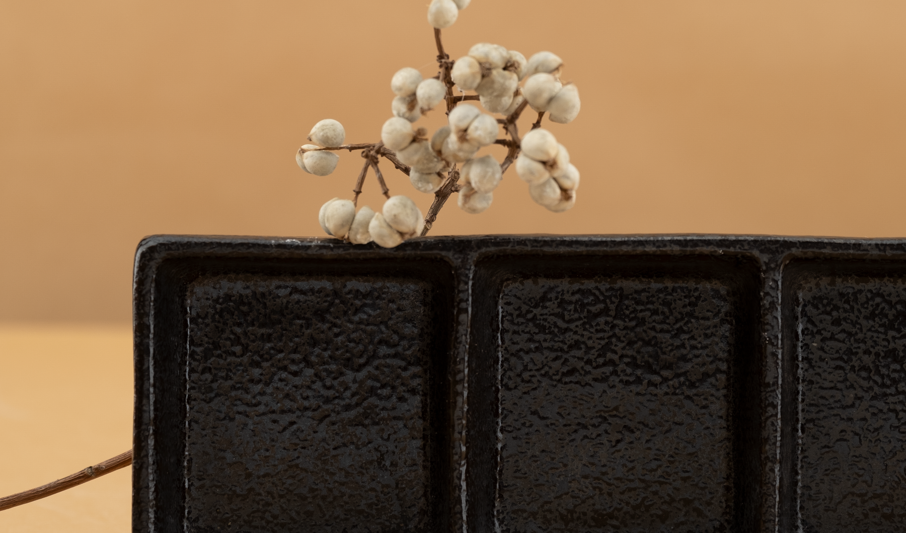 Detail of a Blackstone Grid three-well tray, matte black speckled glaze, styled with a dried berry sprig